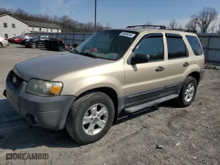 2007 Ford Escape XLT with VIN 1FMCU93137KA07593, listed as a Copart auction lot 48858345 with 123,487 mi miles and Salvage Title. Bid and sale history available at carsss.com. Image 1.
