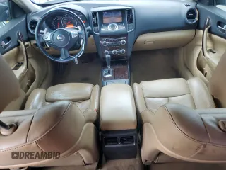 2009 Nissan Maxima SV with VIN 1N4AA51E69C809139, listed as a Copart auction lot 53791545 with 141,482 mi miles and Salvage Title. Bid and sale history available at DreamBid. Image 8.