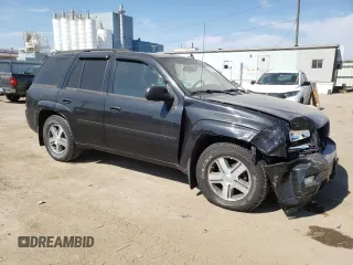 2008 Chevrolet TrailBlazer 1LT with VIN 1GNDT13S982246404, listed as a Copart auction lot 71012014 with 239,388 mi miles and Salvage Title. Bid and sale history available at DreamBid. Image 4.