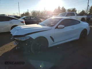 2019 BMW 8 Series M850i xDrive with VIN WBABC4C53KBU95426, listed as a Copart auction lot 89221245 with 0 mi miles and Salvage Title. Bid and sale history available at carsss.com. Image 1.
