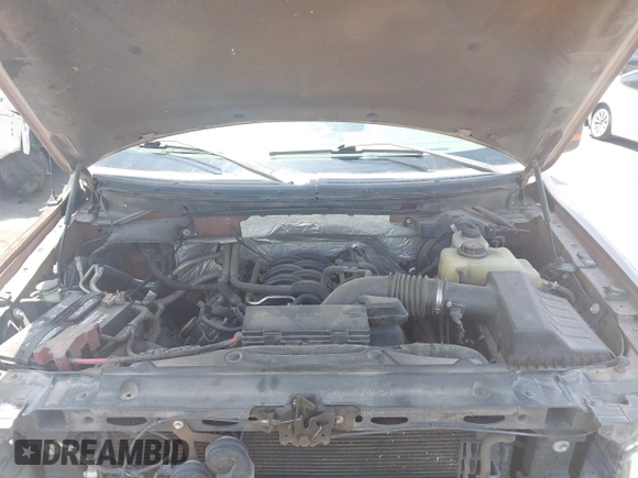 2011 Ford F-150 XL with VIN 1FTFW1EFXBKD12636, listed as a IAAI auction lot 42355469 with Not provided miles and . Bid and sale history available at DreamBid. Image 10.