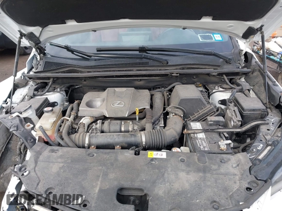 2019 Lexus NX 300 with VIN JTJBARBZ2K2186862, listed as a IAAI auction lot 41867777 with 41,872 mi miles and . Bid and sale history available at DreamBid. Image 10.