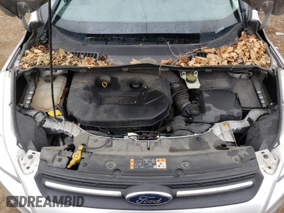 2014 Ford Escape SE with VIN 1FMCU9G90EUA52010, listed as a Copart auction lot 55410485 with 209,125 mi miles and Clean Title. Bid and sale history available at carsss.com. Image 12.
