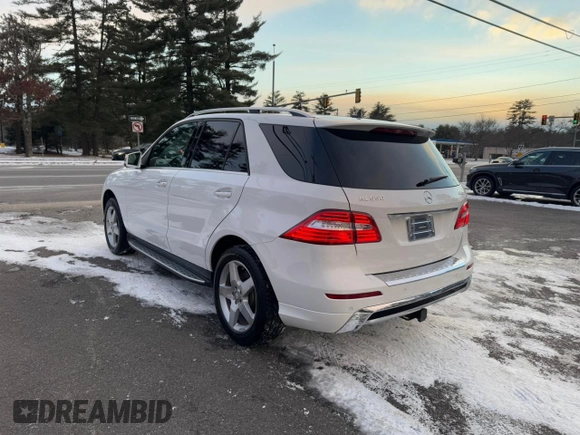 2014 Mercedes-Benz M 550 with VIN 4JGDA7DB0EA408983, listed as a Copart auction lot 42161095 with 115,482 mi miles and Clean Title. Bid and sale history available at carsss.com. Image 4.