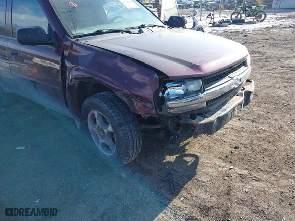 2007 Chevrolet TrailBlazer LT with VIN 1GNDT13S972207293, listed as a IAAI auction lot 41301403 with 229,042 mi miles. Bid and sale history available at carsss.com. Image 6.