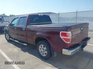 2009 Ford F-150 XL with VIN 1FTRW12849FA56144, listed as a IAAI auction lot 42563850 with 132,232 mi miles and . Bid and sale history available at DreamBid. Image 3.