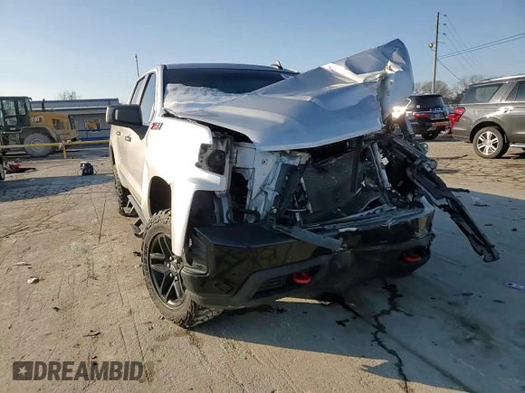 2019 Chevrolet Silverado 1500 Custom Trail Boss with VIN 3GCPYCEH8KG117346, listed as a Copart auction lot 88242435 with 110,025 mi miles and Salvage Title. Bid and sale history available at carsss.com. Image 10.