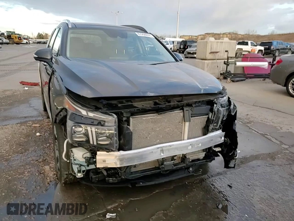 2021 Hyundai Santa Fe Limited with VIN 5NMS4DAL0MH315822, listed as a Copart auction lot 87260094 with 30,253 mi miles and Salvage Title. Bid and sale history available at carsss.com. Image 15.