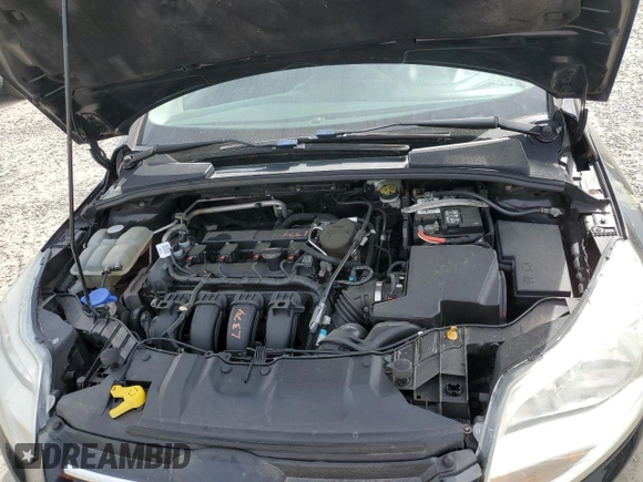 2013 Ford Focus SE with VIN 1FADP3K26DL135801, listed as a Copart auction lot 49891045 with 141,401 mi miles and Salvage Title. Bid and sale history available at DreamBid. Image 11.