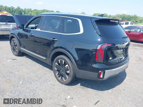 2023 Kia Telluride SX X-Pro с VIN 5XYP5DGC0PG343354, выставлен на аукционе IAAI как лот 42463746 с пробегом 30 916 миль миль и . История ставок и продаж доступна на DreamBid. Изображение 3.