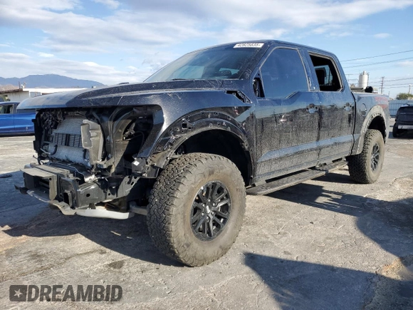 2024 Ford F-150 Raptor with VIN 1FTFW1RG3RFB11151, listed as a Copart auction lot 42825835 with 8,270 mi miles and Salvage Title. Bid and sale history available at DreamBid. Image 1.