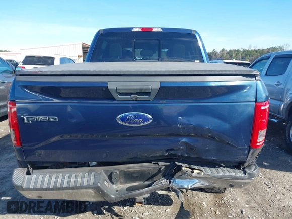 2016 Ford F-150 XL with VIN 1FTEW1CP5GFD58771, listed as a IAAI auction lot 41595623 with 104,453 mi miles and . Bid and sale history available at carsss.com. Image 16.