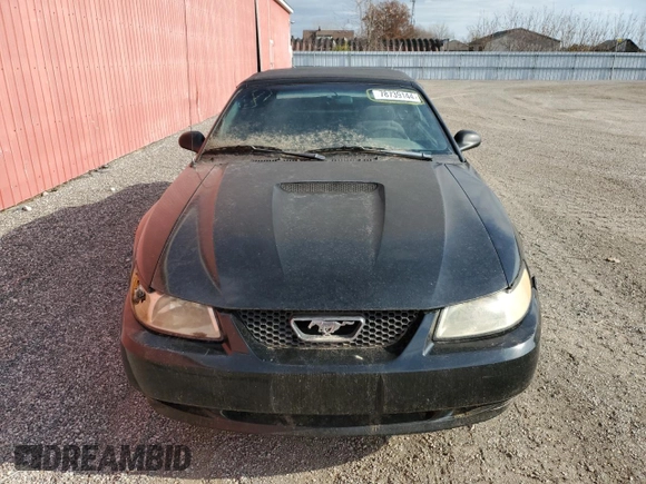 1999 Ford Mustang with VIN 1FAFP4446XF149732, listed as a Copart auction lot 78739144 with Not provided miles and Clean title. Bid and sale history available at DreamBid. Image 5.