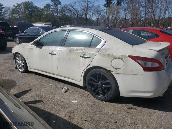 2010 Nissan Maxima 3.5 SV w/Premium Pkg with VIN 1N4AA5AP5AC842350, listed as a Copart auction lot 48255385 with 164,130 mi miles and Clean Title. Bid and sale history available at carsss.com. Image 2.