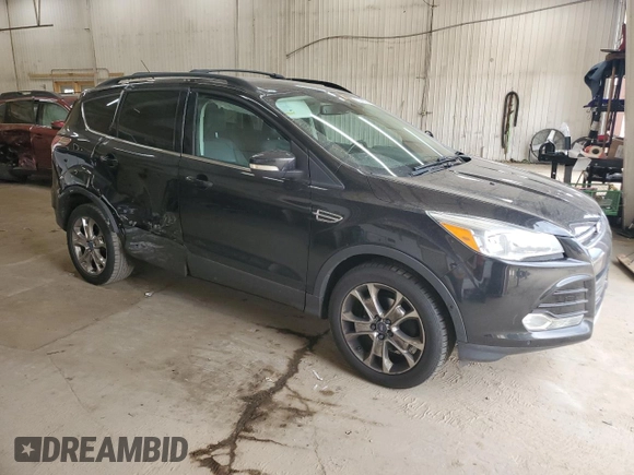 2013 Ford Escape SEL with VIN 1FMCU0HX1DUB83342, listed as a Copart auction lot 52482145 with 123,702 mi miles and Salvage Title. Bid and sale history available at carsss.com. Image 4.