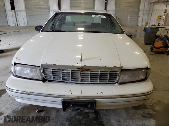 1996 Chevrolet Caprice 1SA Special Value с VIN 1G1BL52W7TR102502, выставлен на аукционе Copart как лот 53508415 с пробегом Не указан миль и Чистый • Clean title. История ставок и продаж доступна на DreamBid. Изображение 5.