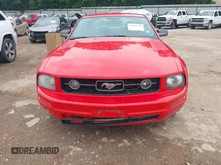 2008 Ford Mustang Deluxe with VIN 1ZVHT80N885141477, listed as a IAAI auction lot 42083598 with 183,647 mi miles. Bid and sale history available at carsss.com. Image 6.