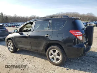 2009 Toyota RAV4 with VIN JTMBF33V295013994, listed as a Copart auction lot 49030455 with 0 mi miles and Clean Title. Bid and sale history available at carsss.com. Image 2.