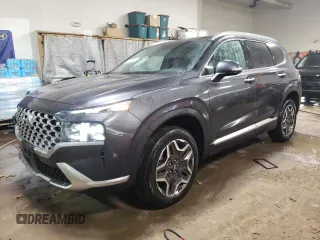 2023 Hyundai Santa Fe Limited with VIN 5NMS4DAL2PH485880, listed as a Copart auction lot 44610855 with 20,015 mi miles and Salvage Title. Bid and sale history available at carsss.com. Image 1.