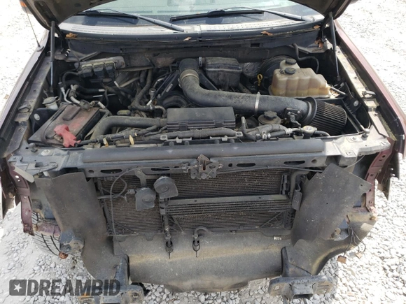 2009 Ford F-150 XL with VIN 1FTPW14V69FA81573, listed as a Copart auction lot 49098534 with 237,463 mi miles and Salvage title. Bid and sale history available at DreamBid. Image 11.