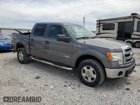2013 Ford F-150 XL with VIN 1FTFW1ET4DKF81269, listed as a Copart auction lot 55813125 with 158,729 mi miles and Salvage title. Bid and sale history available at DreamBid. Image 4.