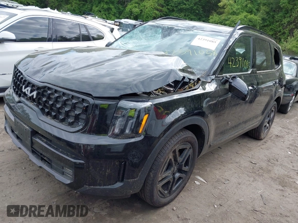 2024 Kia Telluride SX Prestige X-Pro with VIN 5XYP5DGC8RG520090, listed as a IAAI auction lot 42391085 with 9,513 mi miles and . Bid and sale history available at DreamBid. Image 17.
