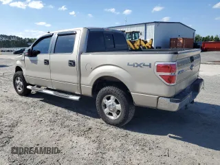 2010 Ford F-150 XL with VIN 1FTFW1EV7AFB20105, listed as a Copart auction lot 57966625 with 306,781 mi miles and Salvage title. Bid and sale history available at DreamBid. Image 2.