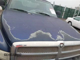 2001 Dodge 1500 with VIN 3B7HF13Y11G768379, listed as a IAAI auction lot 41442201 with 181,199 mi miles and . Bid and sale history available at DreamBid. Image 6.