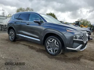 2023 Hyundai Santa Fe Limited with VIN 5NMS4DAL6PH516967, listed as a Copart auction lot 51137385 with 55,902 mi miles and Salvage Title. Bid and sale history available at carsss.com. Image 4.