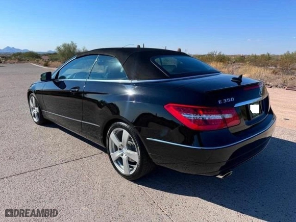 2013 Mercedes-Benz E-Class E 350 with VIN WDDKK5KF8DF204166, listed as a Copart auction lot 42840295 with 169,781 mi miles and Salvage Title. Bid and sale history available at carsss.com. Image 3.