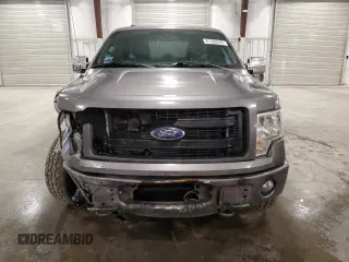 2013 Ford F-150 XL with VIN 1FTEX1EM6DFD11213, listed as a Copart auction lot 61350245 with 197,696 mi miles and Salvage title. Bid and sale history available at DreamBid. Image 5.