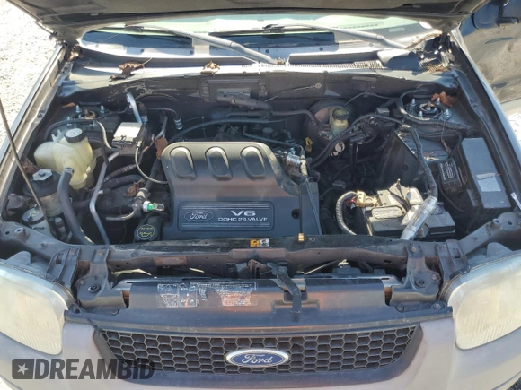 2002 Ford Escape XLT Choice with VIN 1FMYU041X2KE10205, listed as a Copart auction lot 74046214 with 282,858 mi miles and Salvage Title. Bid and sale history available at carsss.com. Image 12.