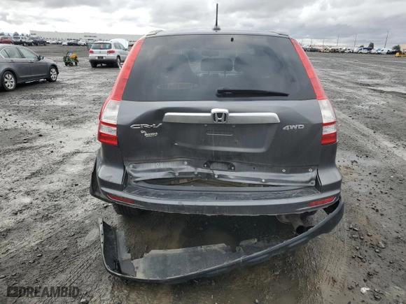 2010 Honda CR-V EX-L with VIN 5J6RE4H72AL083717, listed as a Copart auction lot 48762095 with 120,277 mi miles and Salvage Title. Bid and sale history available at carsss.com. Image 6.