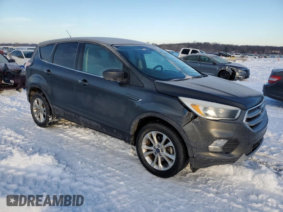 2017 Ford Escape SE with VIN 1FMCU0GD8HUE14993, listed as a Copart auction lot 87868485 with 118,768 mi miles and Salvage Title. Bid and sale history available at carsss.com. Image 4.