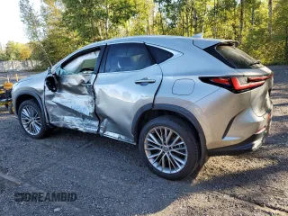 2023 Lexus NX with VIN 2T2GKCEZXPC012007, listed as a Copart auction lot 73273994 with 20,893 mi miles and Salvage Title. Bid and sale history available at carsss.com. Image 2.