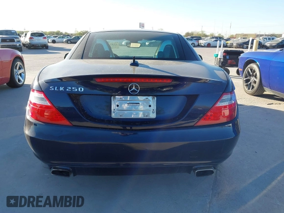 2012 Mercedes-Benz SLK 250 with VIN WDDPK4HAXCF036279, listed as a IAAI auction lot 41851520 with 124,366 mi miles and . Bid and sale history available at DreamBid. Image 16.