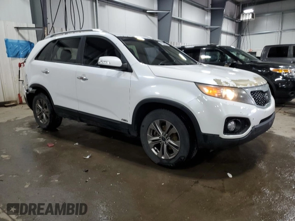 2011 Kia Sorento LX with VIN 5XYKTDA20BG167379, listed as a Copart auction lot 49333405 with 168,330 mi miles and Salvage Title. Bid and sale history available at carsss.com. Image 4.
