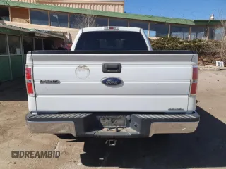 2014 Ford F-150 XL with VIN 1FTFX1EF7EFB88139, listed as a Copart auction lot 47197025 with 170,819 mi miles and Salvage title. Bid and sale history available at DreamBid. Image 6.
