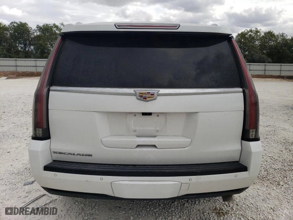 2019 Cadillac Escalade Luxury with VIN 1GYS3BKJ0KR193227, listed as a Copart auction lot 74701034 with 70,252 mi miles and Salvage Title. Bid and sale history available at carsss.com. Image 6.