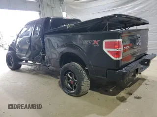 2014 Ford F-150 XL with VIN 1FTEX1EM2EFB44866, listed as a Copart auction lot 57209585 with Not provided miles and Clean title. Bid and sale history available at DreamBid. Image 2.