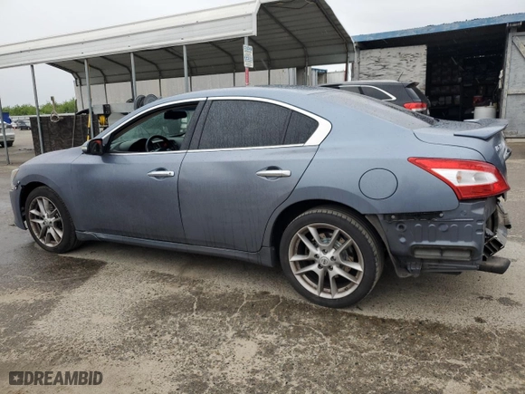 2010 Nissan Maxima 3.5 SV w/Premium Pkg with VIN 1N4AA5AP8AC855495, listed as a Copart auction lot 50995625 with 151,947 mi miles and Salvage Title. Bid and sale history available at carsss.com. Image 2.
