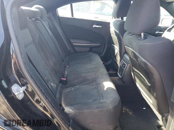 2018 Dodge Charger SXT Plus with VIN 2C3CDXHG6JH176662, listed as a Copart auction lot 48028425 with 132,776 mi miles and Salvage Title. Bid and sale history available at DreamBid. Image 10.