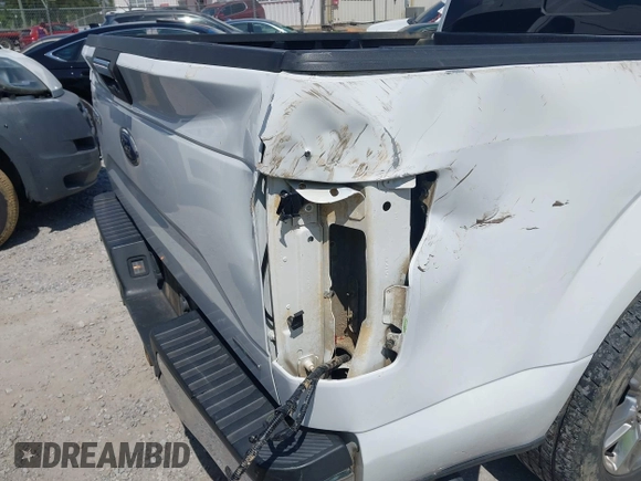 2016 Ford F-150 XLT with VIN 1FTEW1C85GFA24197, listed as a IAAI auction lot 42112608 with 234,397 mi miles and . Bid and sale history available at DreamBid. Image 6.