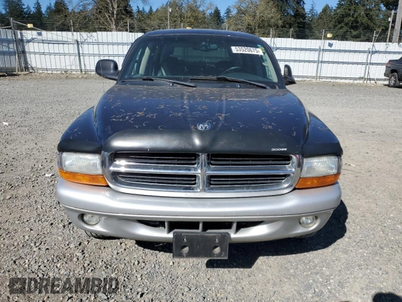 2003 Dodge Dakota SLT with VIN 1D7HL48N03S299182, listed as a Copart auction lot 53520675 with 0 mi miles and Salvage Title. Bid and sale history available at carsss.com. Image 5.