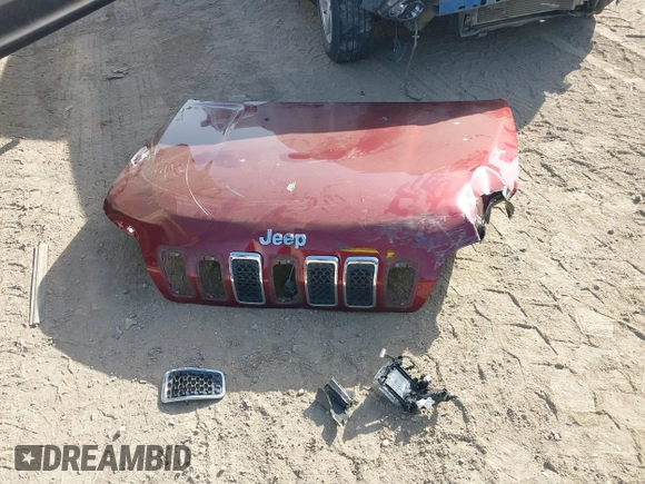 2019 Jeep Cherokee Altitude with VIN 1C4PJLLXXKD120325, listed as a IAAI auction lot 41838643 with 124,315 mi miles and . Bid and sale history available at DreamBid. Image 12.