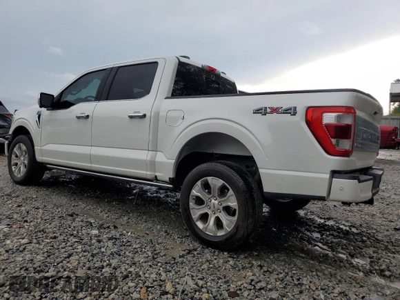 2022 Ford F-150 XL with VIN 1FTFW1E81NFA23191, listed as a Copart auction lot 59531595 with 92,203 mi miles and Salvage title. Bid and sale history available at DreamBid. Image 2.