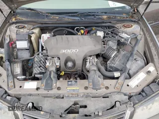 2002 Chevrolet Impala LS z VIN 2G1WH55K829108636, wystawiony jako IAAI lot #42363890 z przebiegiem 244 430 mil mil oraz . Historia ofert i sprzedaży dostępna na DreamBid. Obrazek 10.