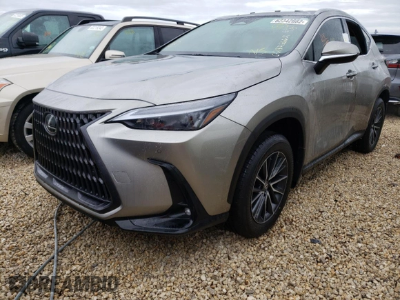 2022 Lexus NX with VIN 2T2GDCAZ0NC002101, listed as a Copart auction lot 62342662 with 0 mi miles. Bid and sale history available at carsss.com. Image 2.