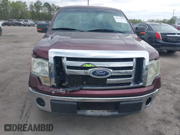 2009 Ford F-150 STX with VIN 1FTRX12879FA06318, listed as a IAAI auction lot 41975883 with 225,215 mi miles. Bid and sale history available at carsss.com. Image 6.