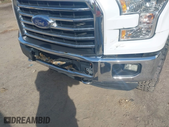 2015 Ford F-150 XLT z VIN 1FTEX1E87FFA65312, wystawiony jako IAAI lot #42064570 z przebiegiem 121 845 mil mil oraz . Historia ofert i sprzedaży dostępna na DreamBid. Obrazek 6.